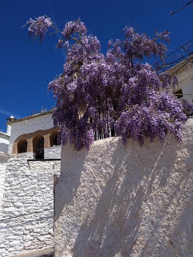 Casa Los Trillizos パンパネイラ エクステリア 写真